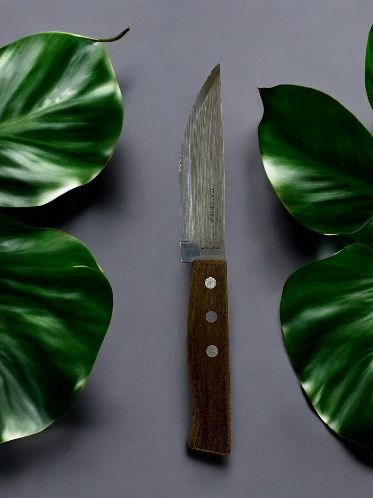 Cuchillo Carne