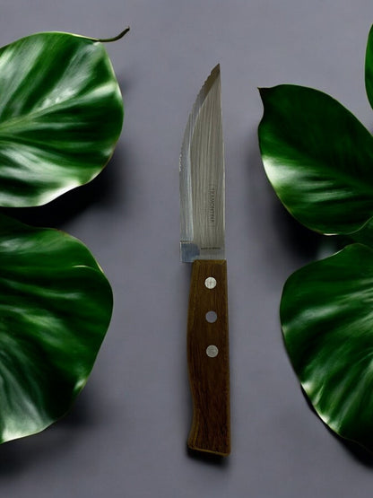 Cuchillo Carne